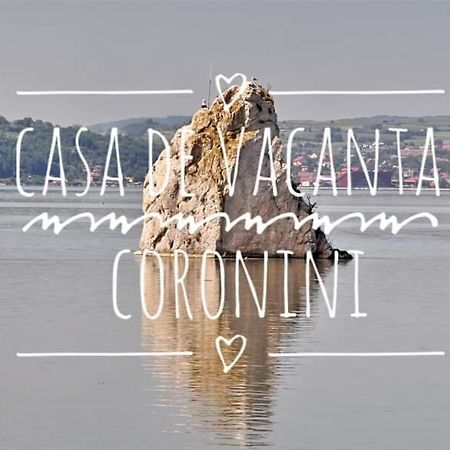 Casa De Vacanta Danube Moldova Noua Buitenkant foto