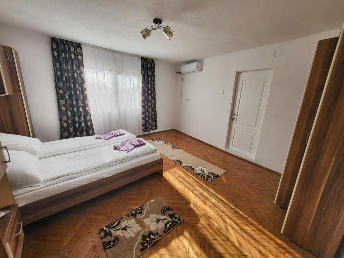 Casa De Vacanta Danube Moldova Noua Buitenkant foto